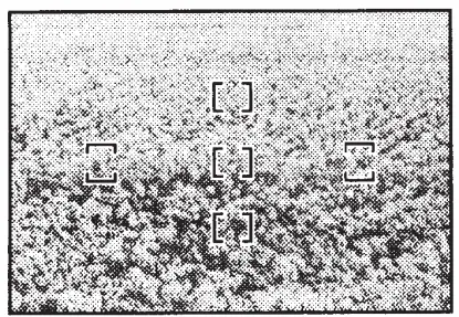 Nikon-AF-S-NIKKOR-24mm-f-1.8G-LED-Lens-fig-7