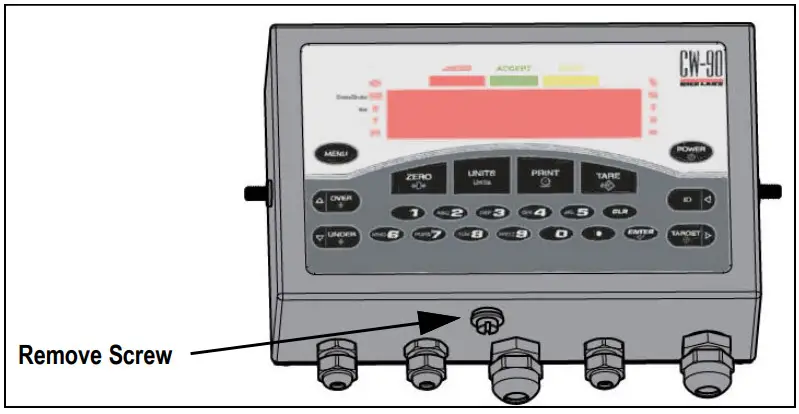 RICELAKE CW 90 90X Checkweighing Indicators - Mode Access Hole