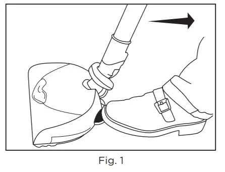 RICCAR Prima -FIGURE 29