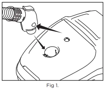 RICCAR Prima -FIGURE 3