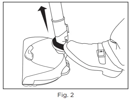 RICCAR Prima -FIGURE 30