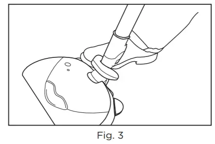 RICCAR Prima -FIGURE 31