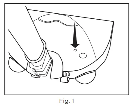 RICCAR Prima -FIGURE 33