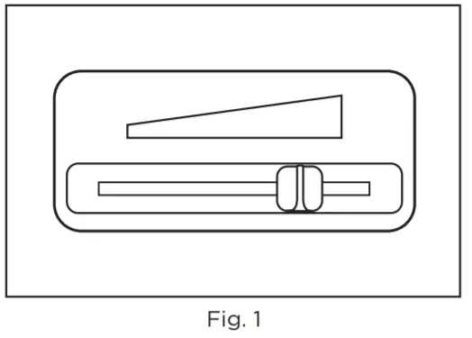RICCAR Prima -FIGURE 6