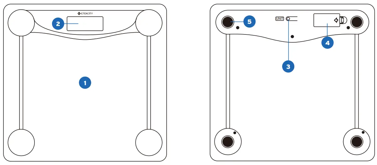 ETEKCITY EB4473C Digital Body Weight Scale - Main Functions