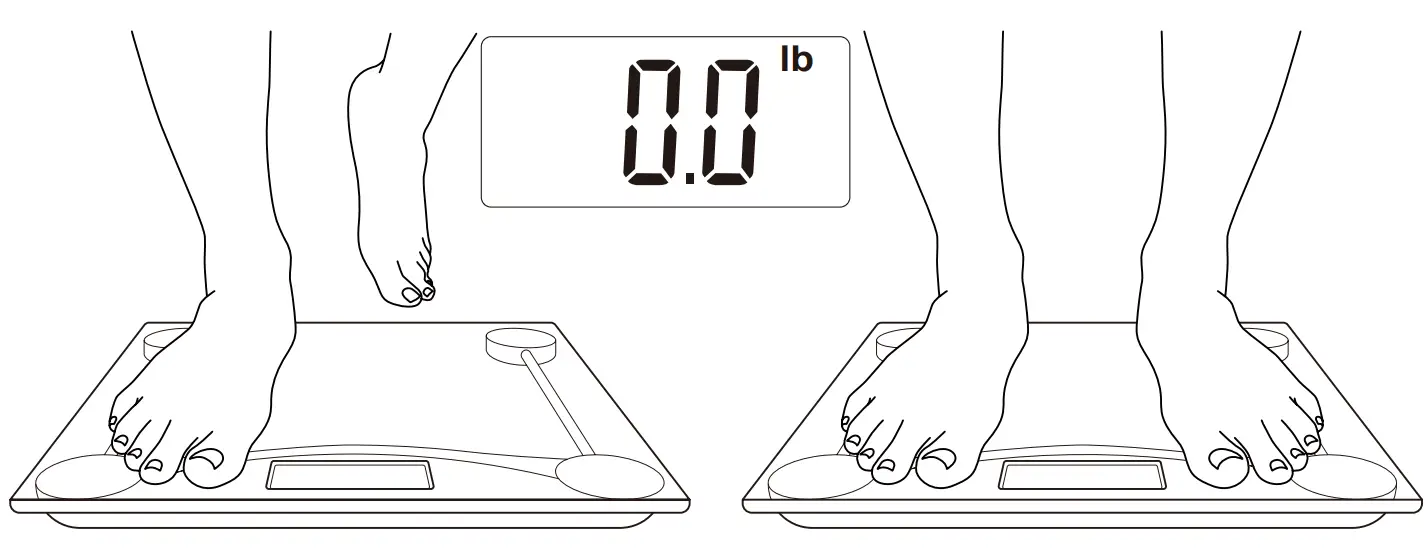 ETEKCITY EB4473C Digital Body Weight Scale - Weight Units 3