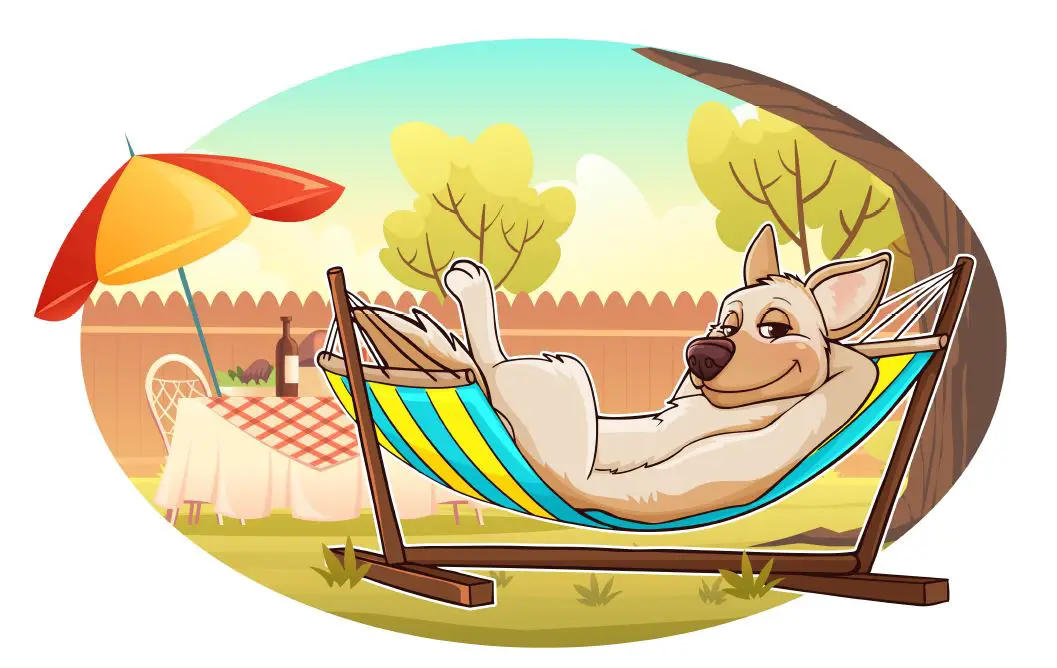 SUNCREAT-12-ft-Hammocks-for-Outside-with-Stand-product