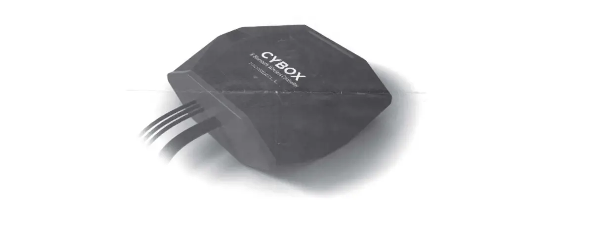 Roswell C920-20130 Cybox Bluetooth Interface Owner's Manual