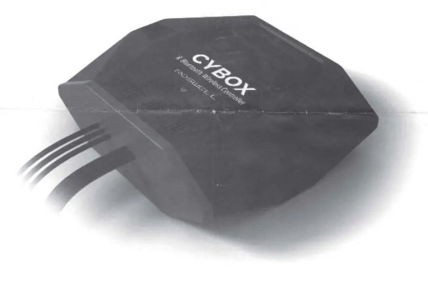 ROSWELL-C920-20130-Cybox-Bluetooth-Interface-product