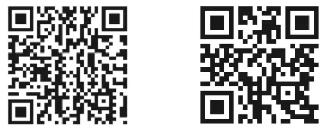 Paul Neuhaus 8079-16 Q-Flag Ceiling Light LED - qr code