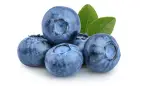 Blueberry