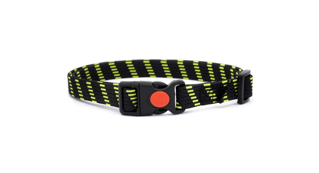 Electric-collars Com Reedog S2 Anti-barking Collars User Manual
