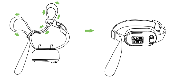 Electric-Collars com Reedog S2 Anti-Barking Collars - fig 6