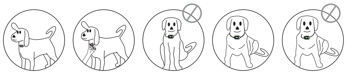 Electric-Collars com Reedog S2 Anti-Barking Collars - fig 7