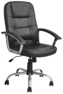 ERGOLUX ELCHOFFBRKA Berkeley High Back Padded Office Chair