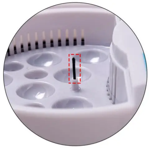 amazon Mini Intelligent 9 Egg -figure 3