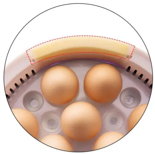 amazon Mini Intelligent 9 Egg -figure 4