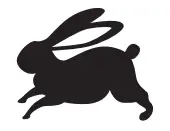 RYOBI R18DDP2 18V Cordless Drill Driver - icon13