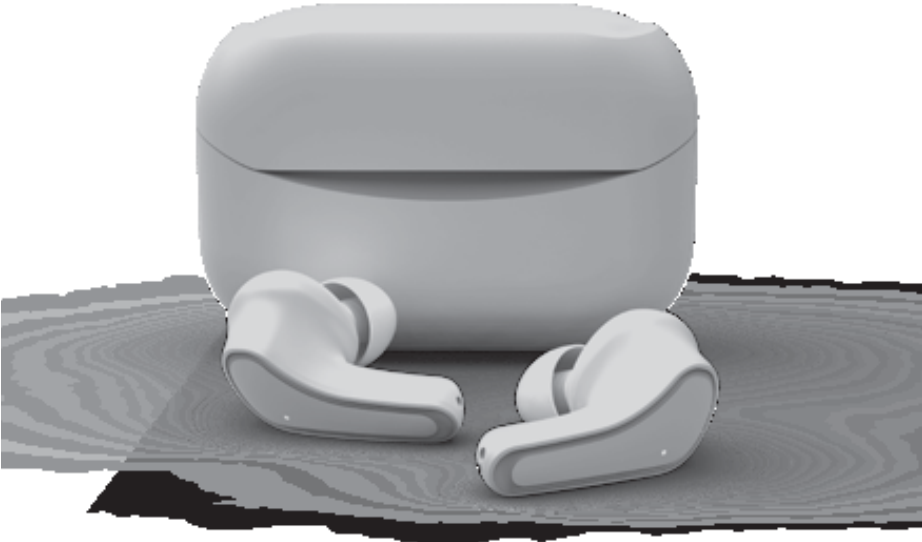 BASS JAXX EP 0650 Active Noise Cancelling Wireless-