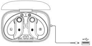 Charging Case Charging