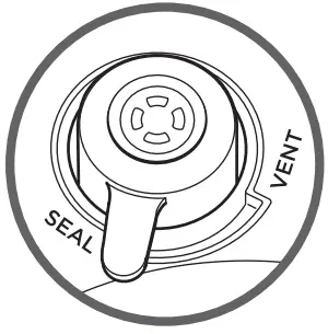 WATER TEST: GETTING STARTED PRESSURE COOKING