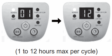 INTEX CS2220 Krystal Clear Saltwater System - Saltwater