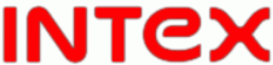INTEX - LOGO
