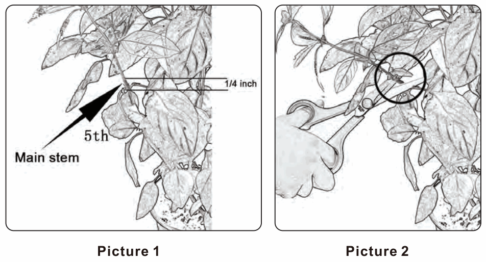 PYLE SLGLF130 Smart Indoor Garden - 17