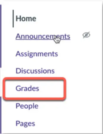 GRADES OPTION