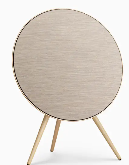 BANG OLUFSEN Beosound A9 5th Generation Beoplay Speaker