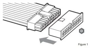 Filling and Priming The XD5 RBG