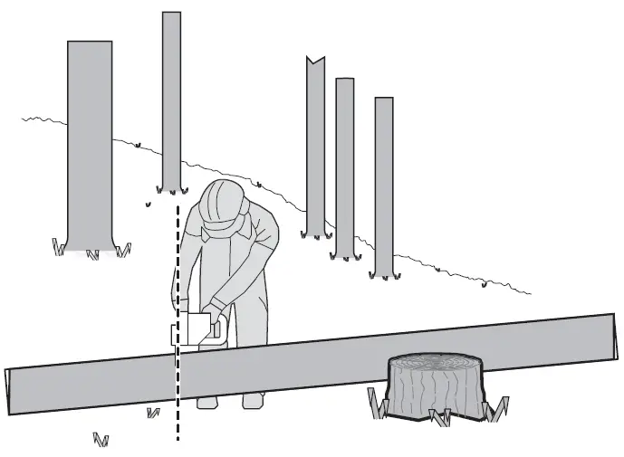 WORX WG385E 40cm Brushless Chainsaw 11