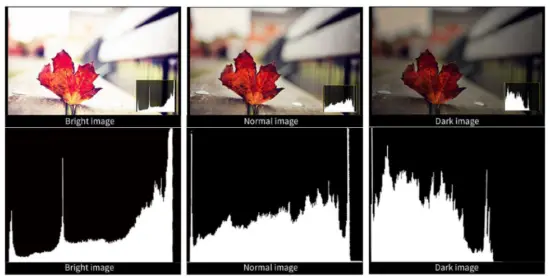 Brightness Histogram