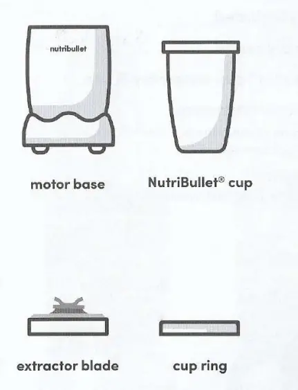 Magic-Bullet-NutriBullet-and-NutiBullet-Pro-Blender-User-FIG-1