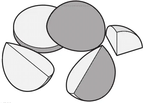 FRACTION SPHERES