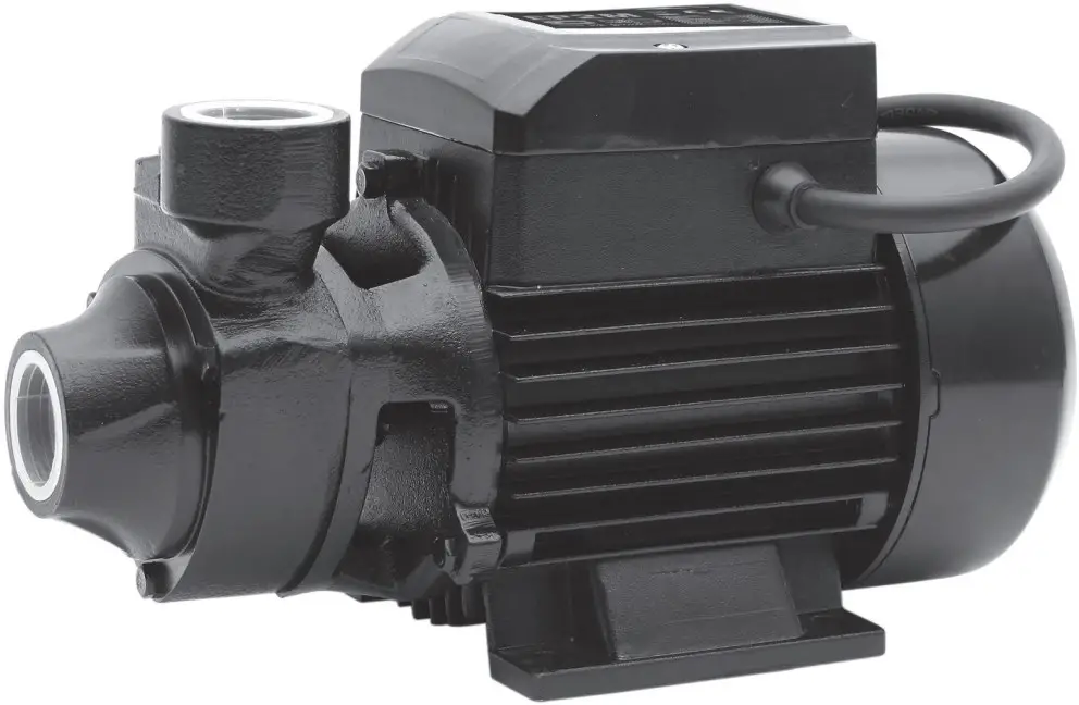 SIP INDUSTRIAL EP2M Surface Mounted Water Pump