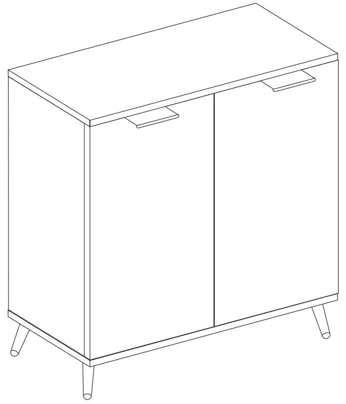 Middle Century 2 Doors Modern Storage Cabinet