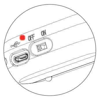 STAGE10-Wagging-Squirrel-Plush-Pet-Toy-fig 1