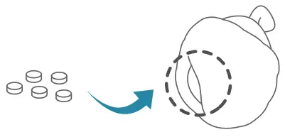 STAGE10-Wagging-Squirrel-Plush-Pet-Toy-fig 5