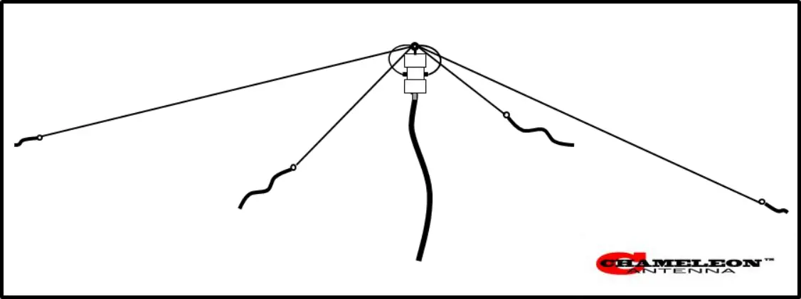 CHAMELEON CHA - Figure 1