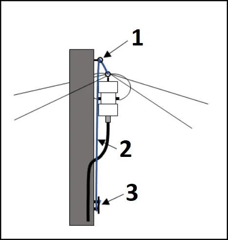 CHAMELEON CHA - Figure 2