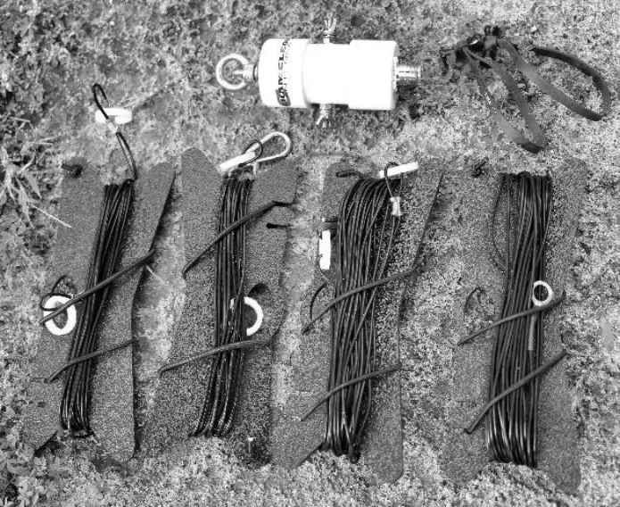 CHAMELEON CHA - Plate 1