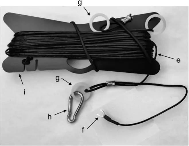 CHAMELEON CHA - Plate 2a