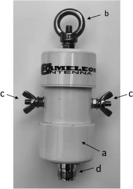 CHAMELEON CHA - Plate 2b