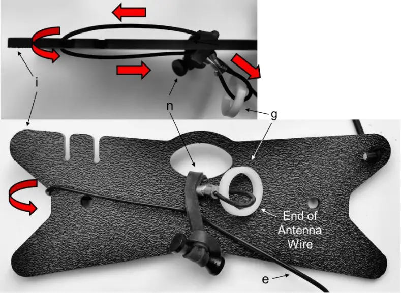 CHAMELEON CHA - Plate 5