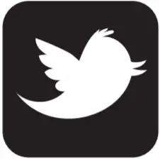 Twitter Icon