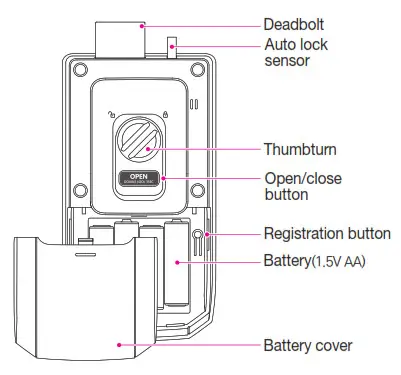 SOLITY GR-50BK Digital- Indoor Body