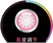 SWT04BP - Interface 12a