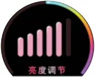 SWT04BP - Interface 12b