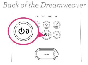 TURN ON THE DREAMWEAVER